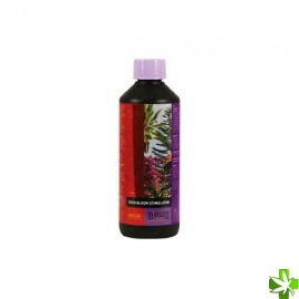B'cuzz coco bloom stimulator 500 ml