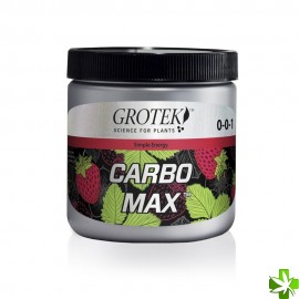 Carbo max 100 g